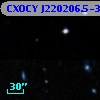 CXOCY J220206.5-320451