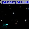 [DKS2007] DR21-IRS 8