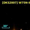 [DKS2007] W75N-IRS13