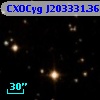 CXOCyg J203331.36+411609.6
