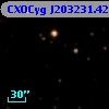 CXOCyg J203231.42+411335.0