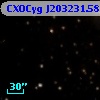 CXOCyg J203231.58+411712.5