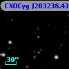CXOCyg J203238.43+411201.1