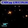 CXOCyg J203238.56+411422.0