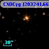 CXOCyg J203241.66+411406.5
