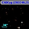 CXOCyg J203248.25+411229.1