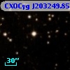 CXOCyg J203249.85+412342.2