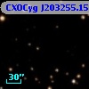 CXOCyg J203255.15+411651.9