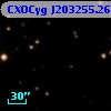 CXOCyg J203255.26+411747.5