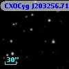 CXOCyg J203256.71+411044.8