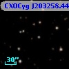 CXOCyg J203258.44+411105.4