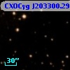 CXOCyg J203300.29+411656.6