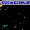 CXOCyg J203301.35+411223.6