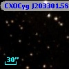 CXOCyg J203301.58+412302.9