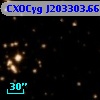 CXOCyg J203303.66+411334.2