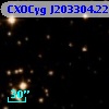 CXOCyg J203304.22+411411.7
