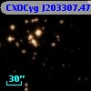 CXOCyg J203307.47+411254.5