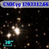 CXOCyg J203312.66+411913.6