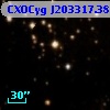 CXOCyg J203317.38+411653.9