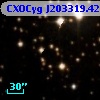 CXOCyg J203319.42+411741.4