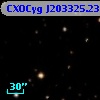 CXOCyg J203325.23+411146.1