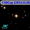 CXOCyg J203331.36+411529.3