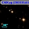 CXOCyg J203335.61+411556.4