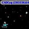 CXOCyg J203336.64+410846.5