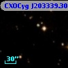 CXOCyg J203339.30+411558.5
