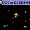 CXOCyg J203339.64+411923.3