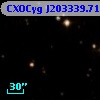 CXOCyg J203339.71+411524.9