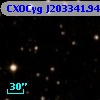 CXOCyg J203341.94+412116.1