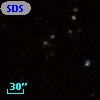 SDSSCG  29