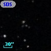 SDSSCG  31