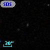 SDSSCG  41