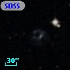 SDSSCG 137
