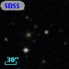 SDSSCG 141