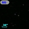 WD 1446+028