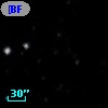 [BFO2002] UMi 40484