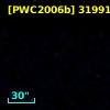 [PWC2006b] 31991
