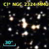 Cl* NGC 2324    MMU    1992