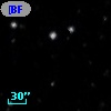 [BFO2002] UMi 41998
