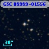 GSC 08989-01556
