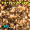 2MASS J17552623-2957461