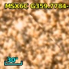 2MASS J17531644-3011291