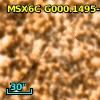 2MASS J17533130-2947335