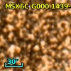2MASS J17550511-2959518