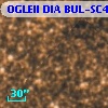 OGLEII DIA BUL-SC4   2509