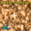 2MASS J17541085-2939425