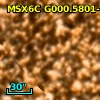 2MASS J17550080-2929027